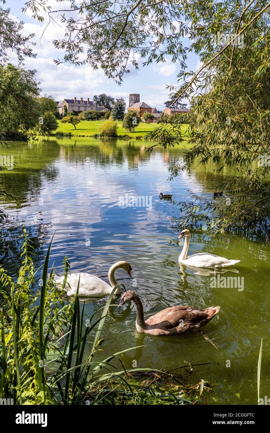 Maisemore Court and St Giles church viewed across the lake in the Severn Vale village of Maisemore, Gloucestershire UK Stock Photo
