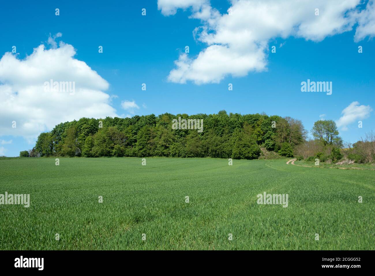 Agricultural landscape, Walzbachtal, Kraichgau, Baden-Wurttemberg, Germany, Europe Stock Photo