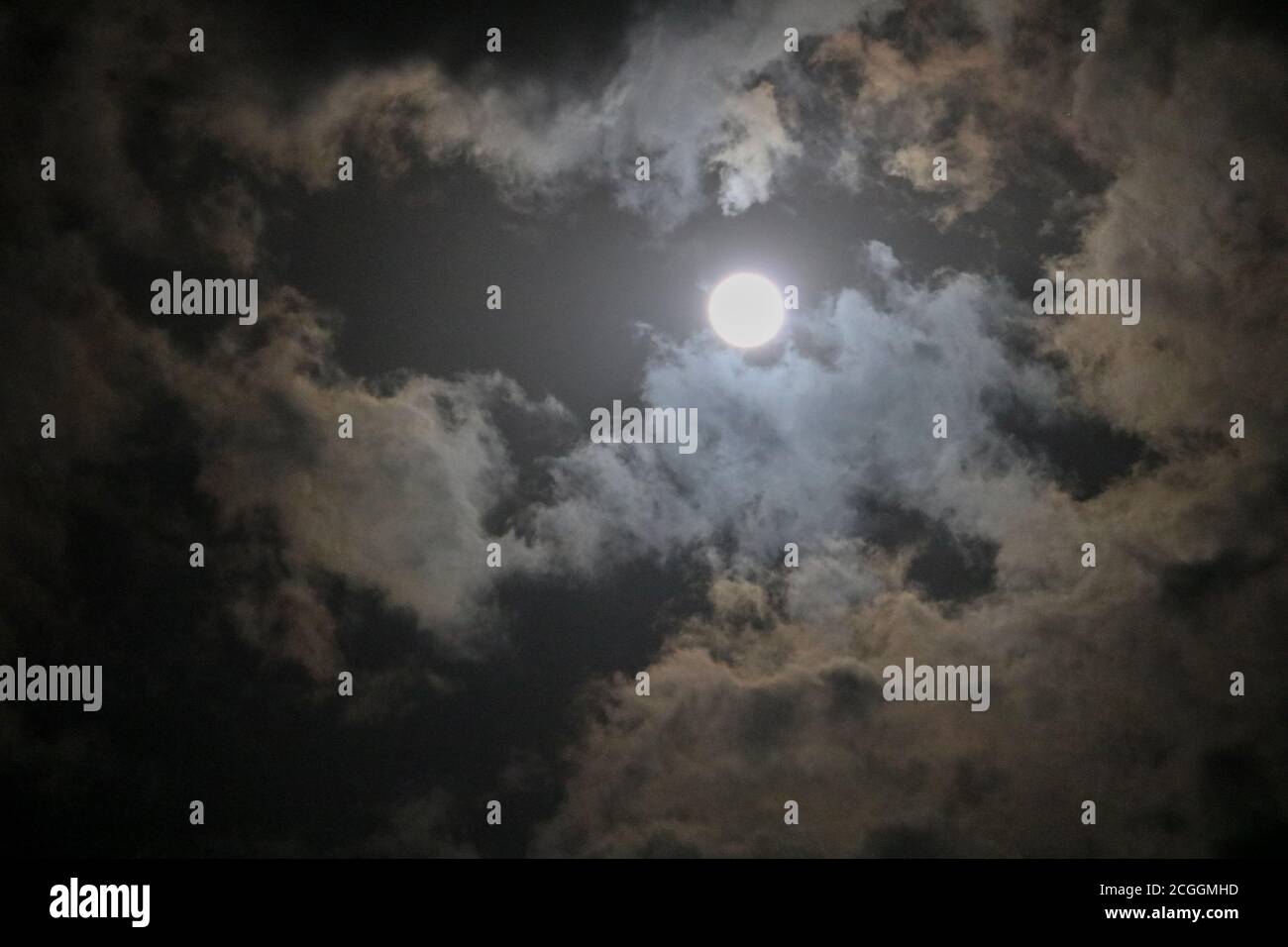 Moonlit night View Stock Photo