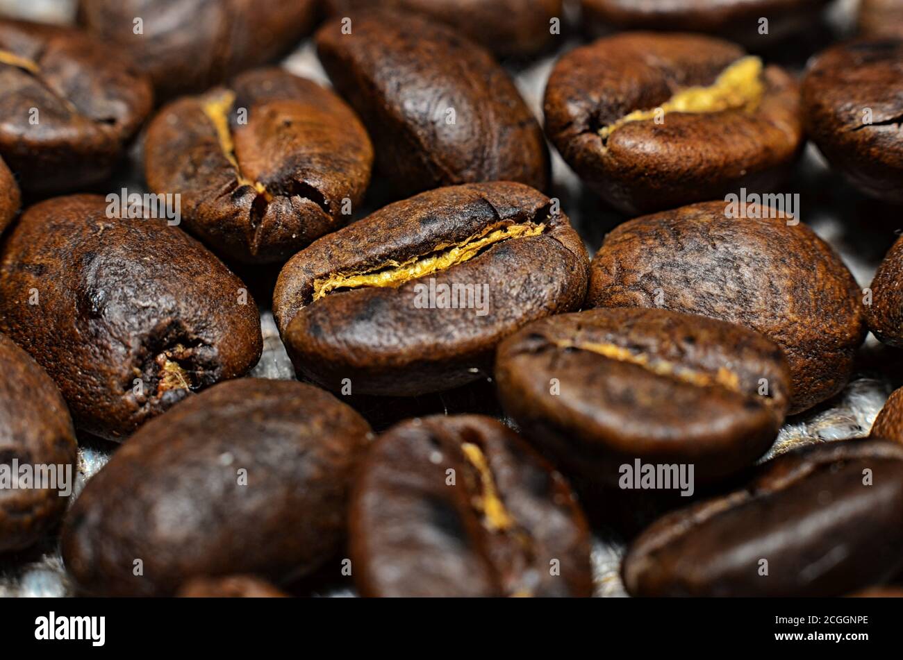 Roasted coffee beans macro shooting background Stock Photo