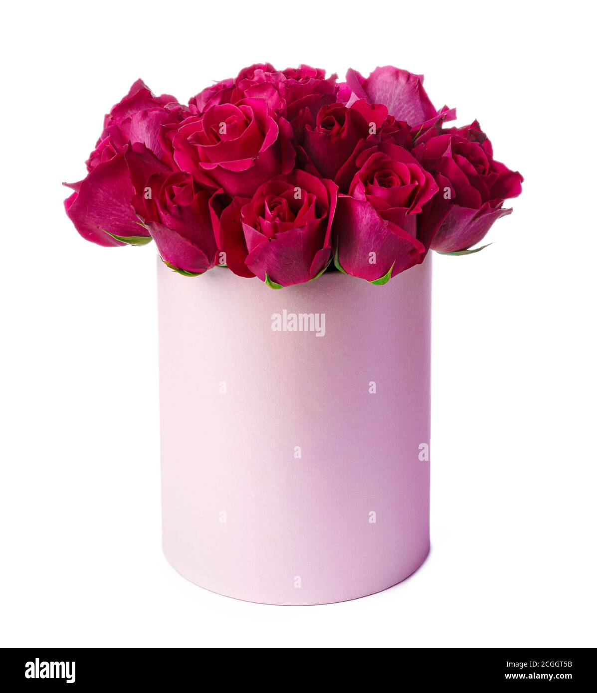 Pink roses in a box isolated on white background Stock Photo Alamy