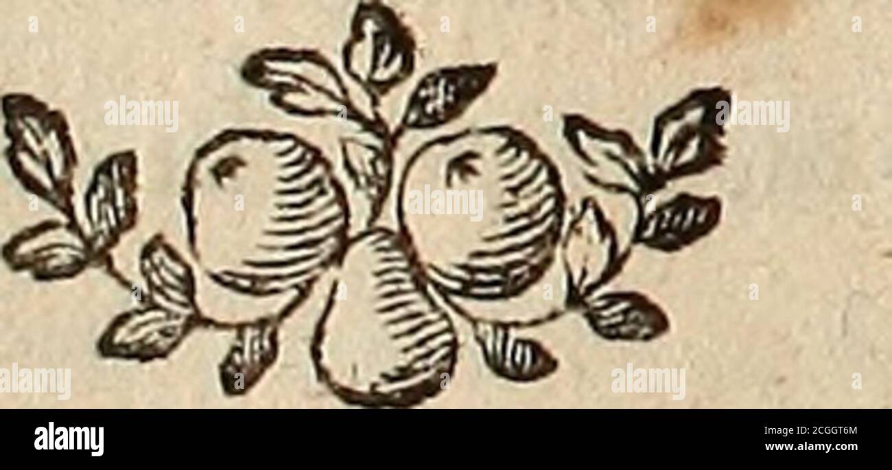 Uen Hi Res Stock Photography And Images Page 5 Alamy Uen Hi Res Stock Photography And Images Page 5 Alamy