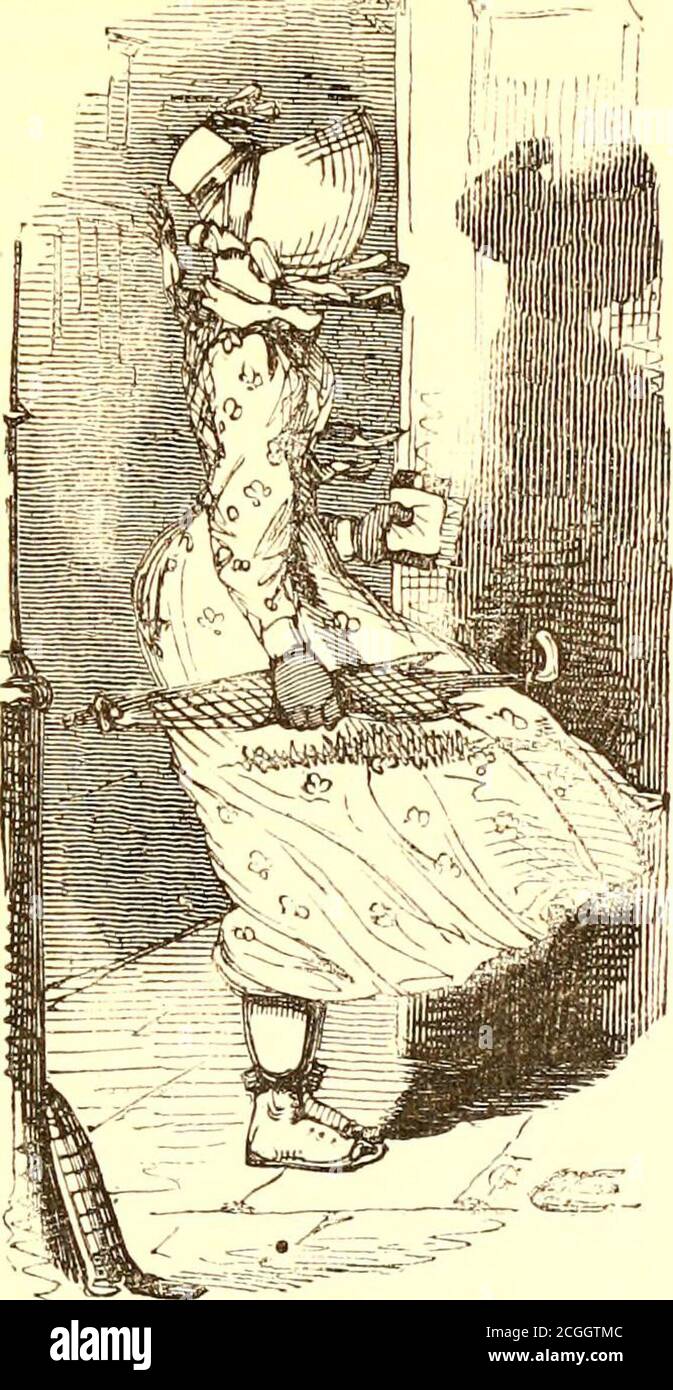 The comic English grammar : a new and facetious introduction to