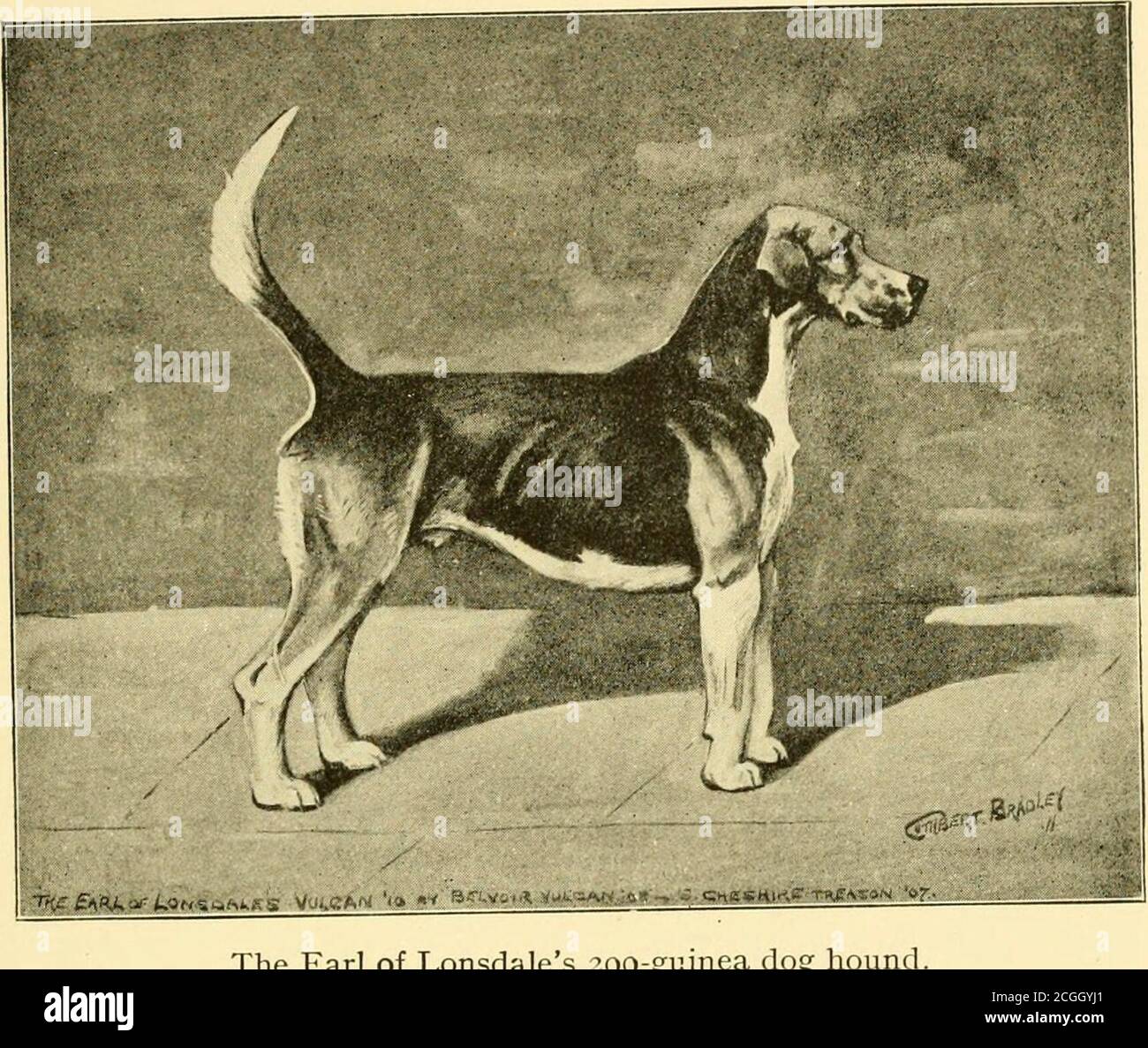 Foxhound price cheap
