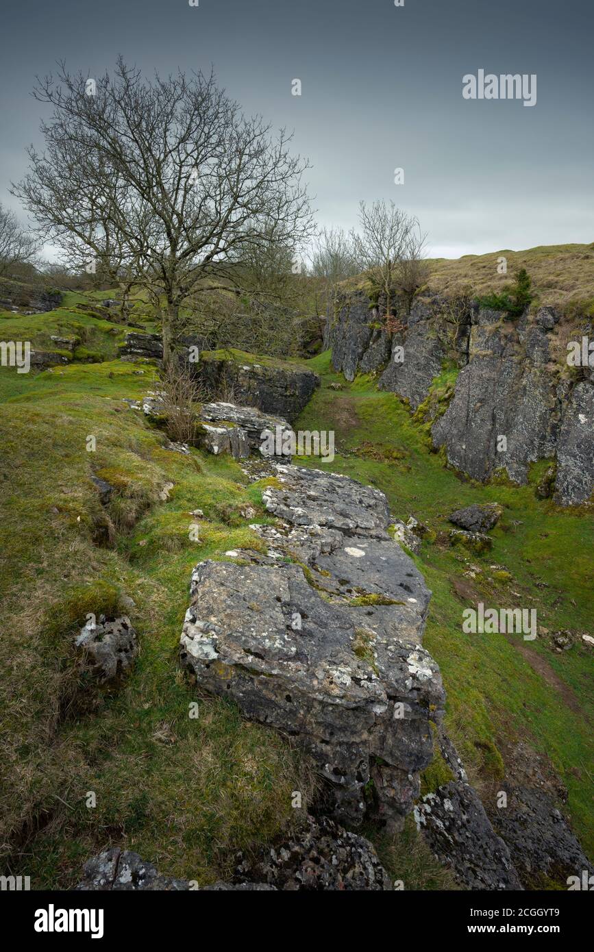 The old lead mine works at Ubley Warren showing the rakes cut into the limestone rock in the Mendip Hills, Somerset, England. Stock Photo