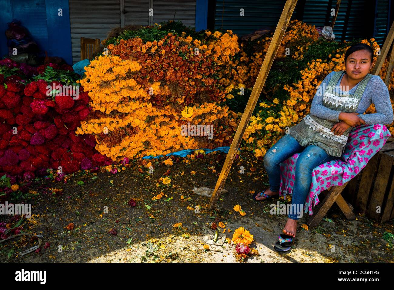 A Mexican flower market vendor sell piles of marigold flowers (Flor de muertos) for Day of the Dead celebrations in Oaxaca, Mexico. Stock Photo