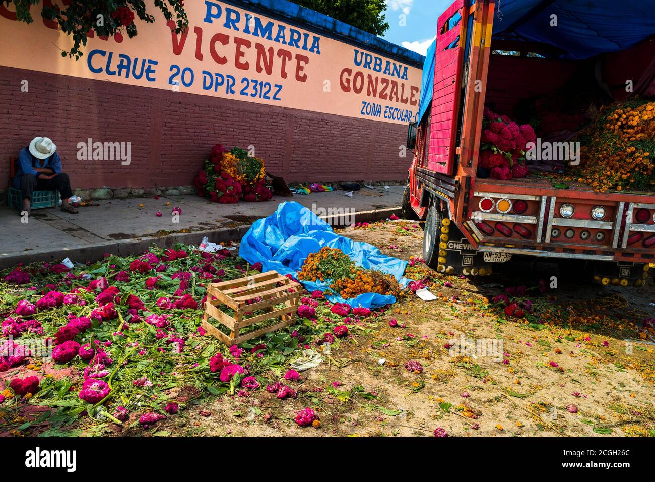 A Mexican flower market vendor sell piles of marigold flowers (Flor de muertos) for Day of the Dead celebrations in Oaxaca. Stock Photo