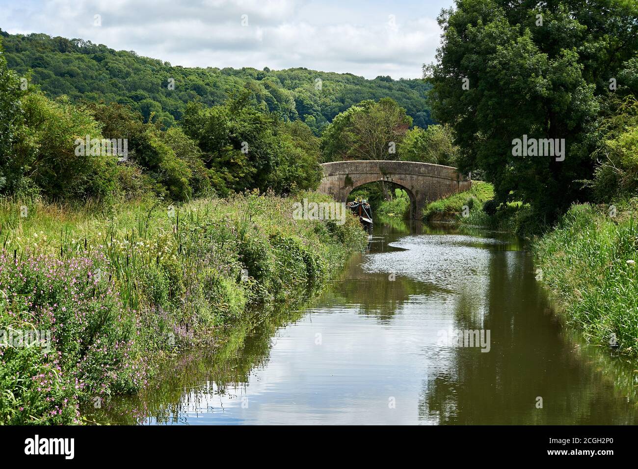 a very quiet stretch of the Kennet & Avon canal in south west England, narrowboat moored in the middle of green countryside next to a bridge Stock Photo