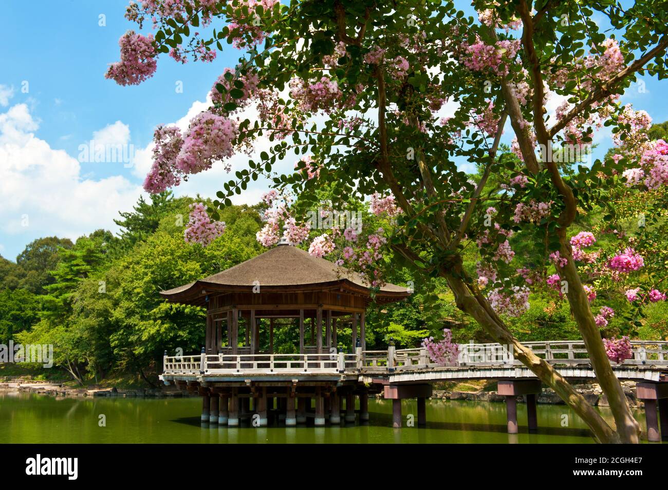 Japanese gazebo pond hires stock photography and images Alamy