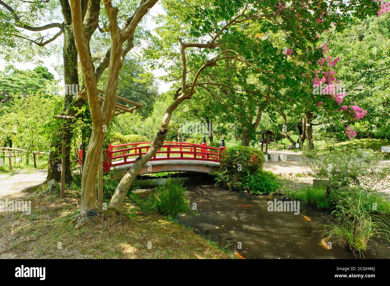 Beautiful Japanese garden with a lake and a red bridge in the front ...