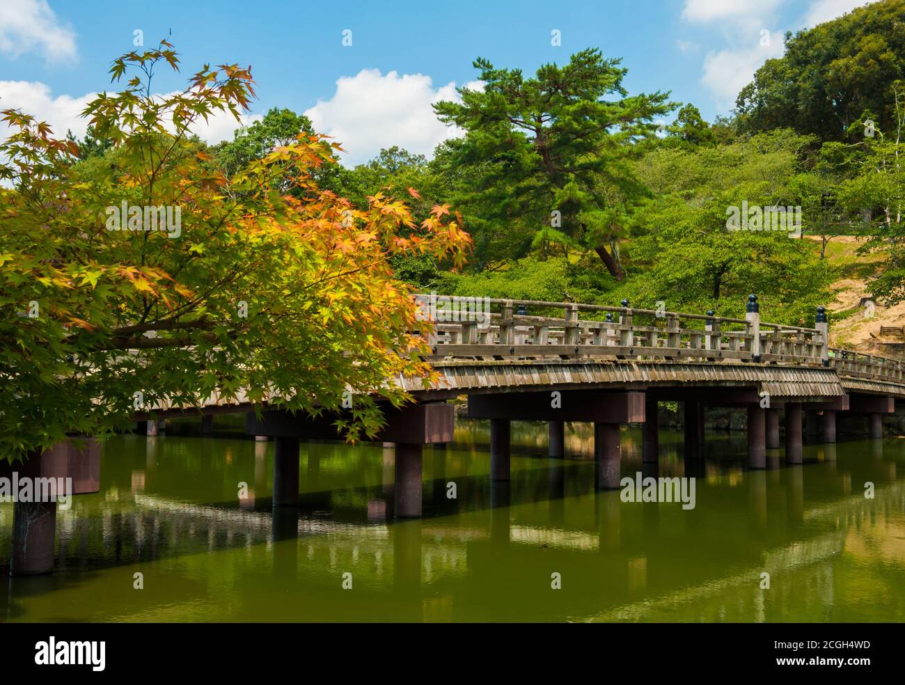 Beautiful wooden bridge in Nara Garden, Japan Stock Photo - Alamy