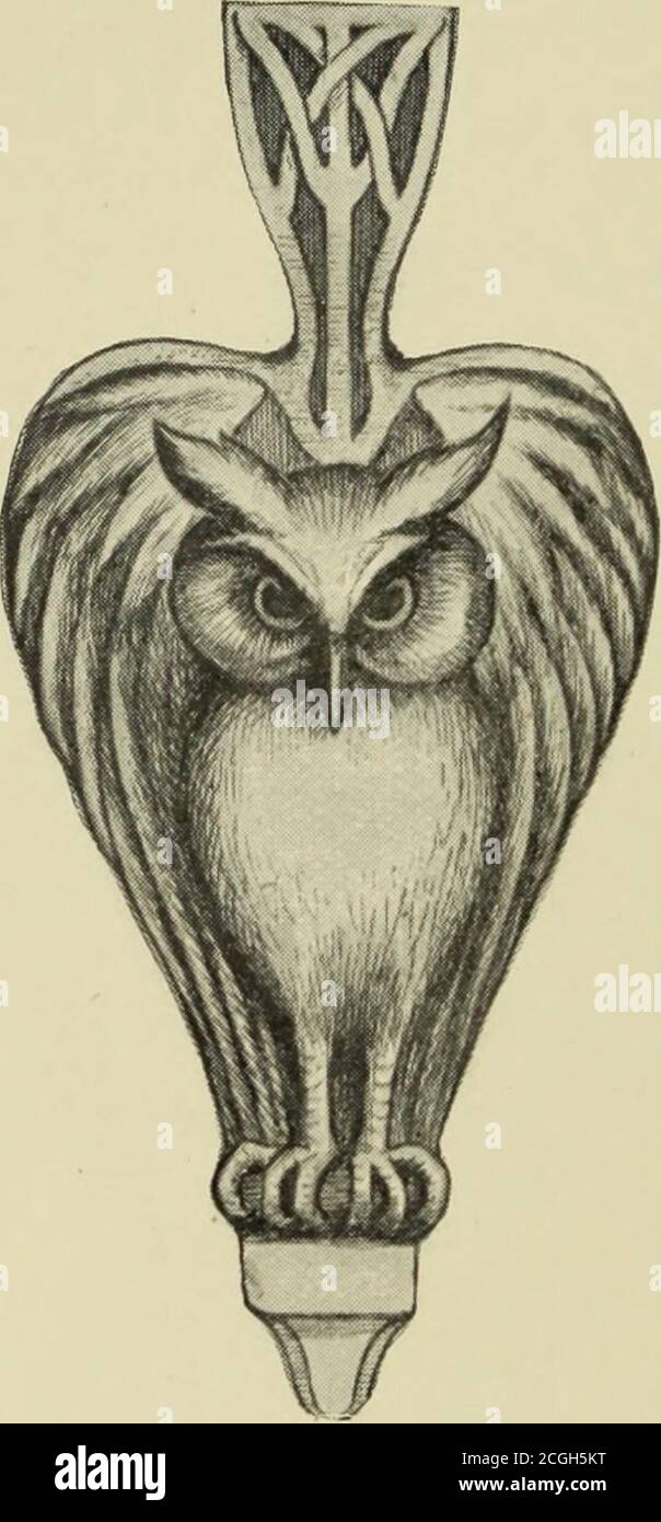 pics of amateurs free