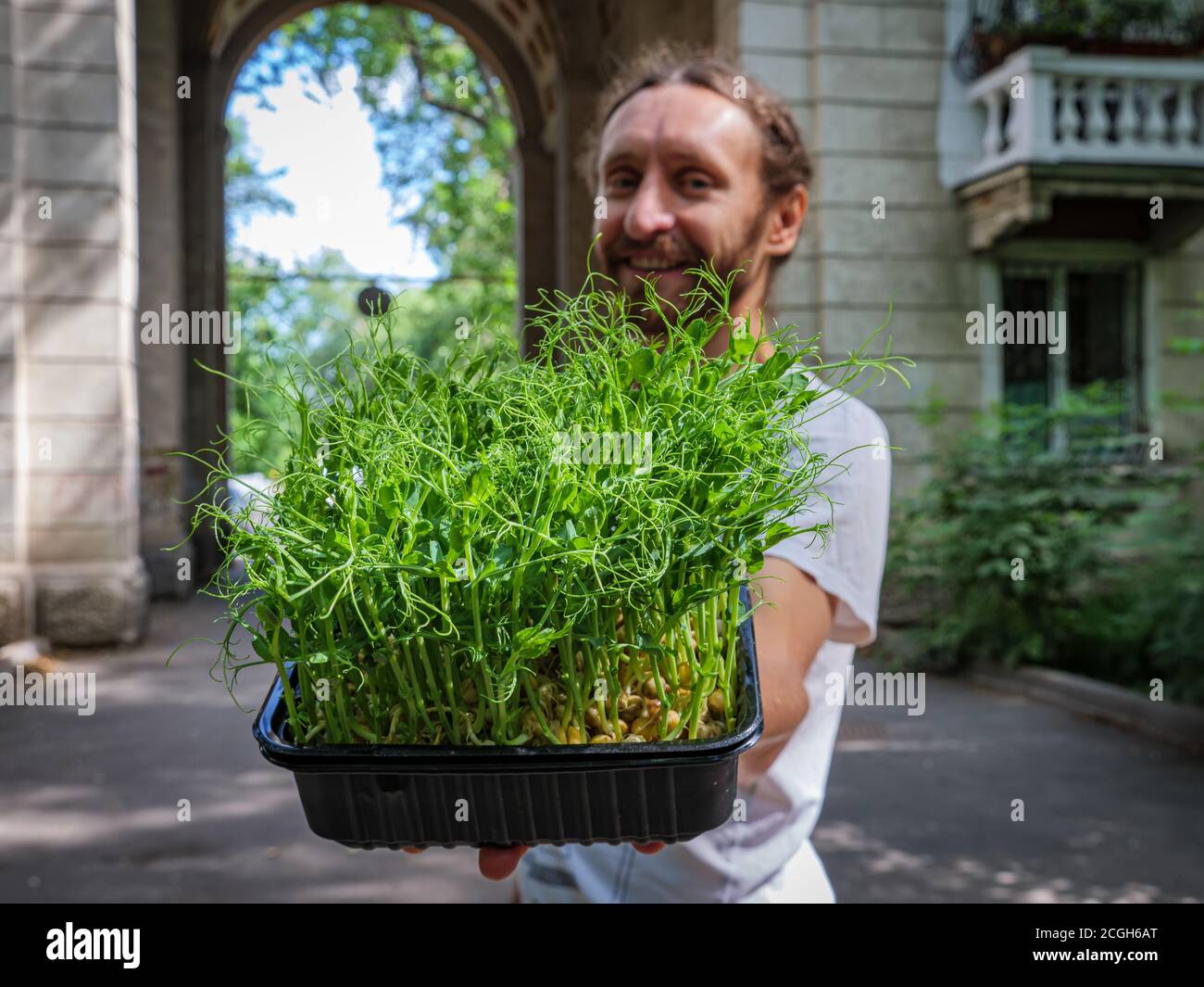 The guy offers microgreens. Cheerful guy pushes a container with fresh microgreens of pea sprouts Stock Photo