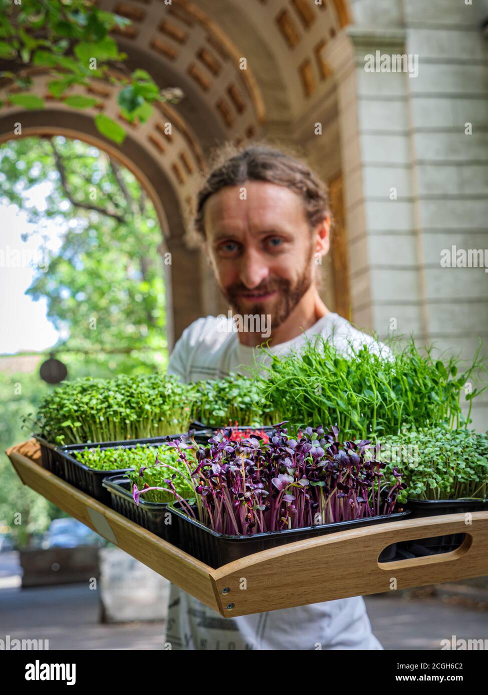 Microgreen. Bearded guy holding a tray with various microgreens Stock Photo
