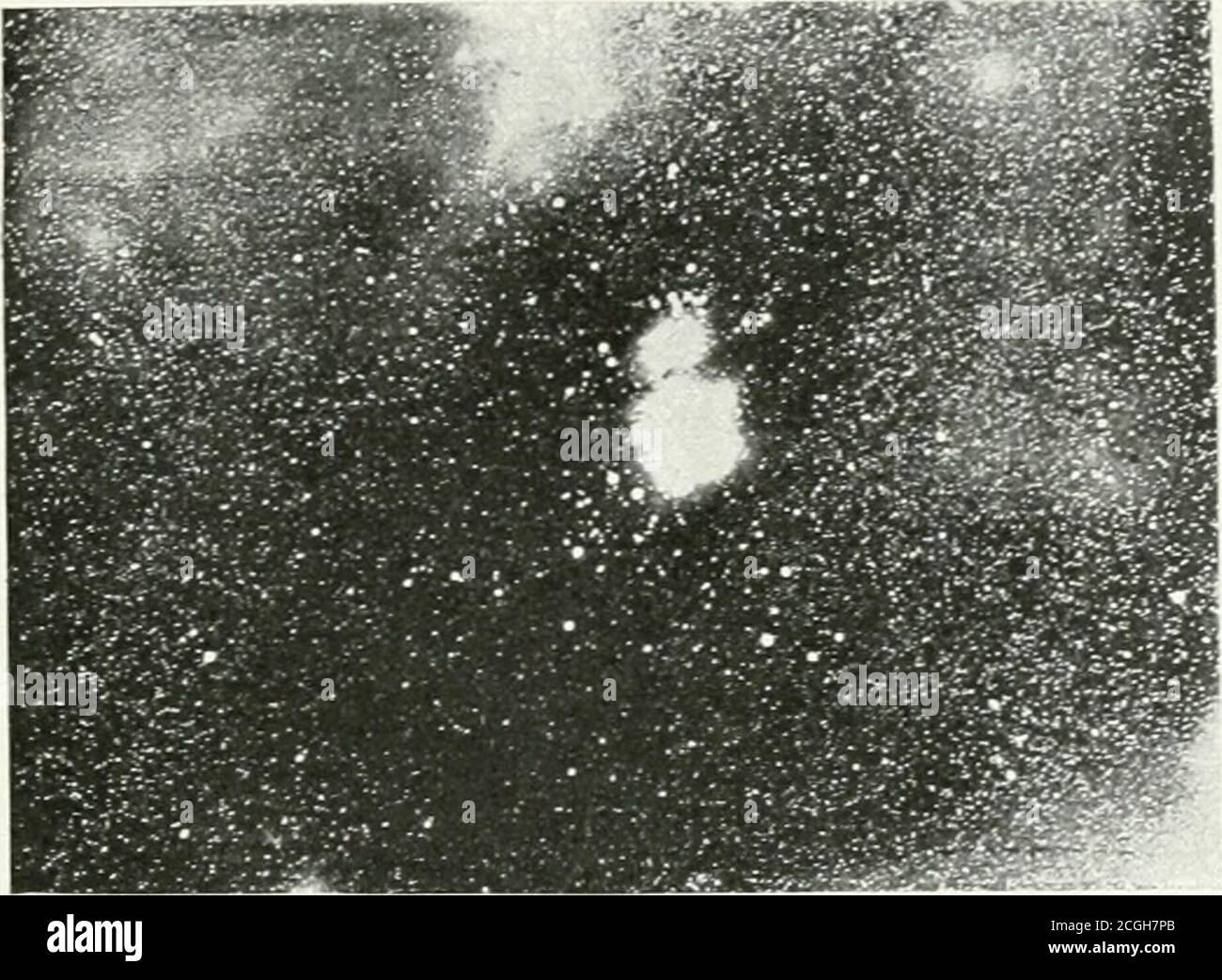 . Die Milchstrasse . Fig. 29. Das Sternbild Orion (Lnar, 3 St. bel.l. Ein schönes Beispiel für Nebel- und Höhlenbildung bietetder bekannte Nebel im Schwertgriff des Orion, in der Einhorn-hälfte am Rande der Milchstraße. Das Bild Nr. 28 (s. S. 24) gibteine Vorstellung von der Feinheit und Kompliziertheit dieserNebelmassen. Wogende Schlieren, fein drapiert, sind zu unent-wirrbarem Chaos verwoben. Bild Nr. 29 gibt die Umgebungdes Nebels. Das Bildchen zeigt das ganze Sternbild Orion inkleinstem Maßstabe. Das unbedeutende Fleckchen in der Mitteist unser Nebel. Er ist nur eine Verdichtung in ungeheu Stock Photo