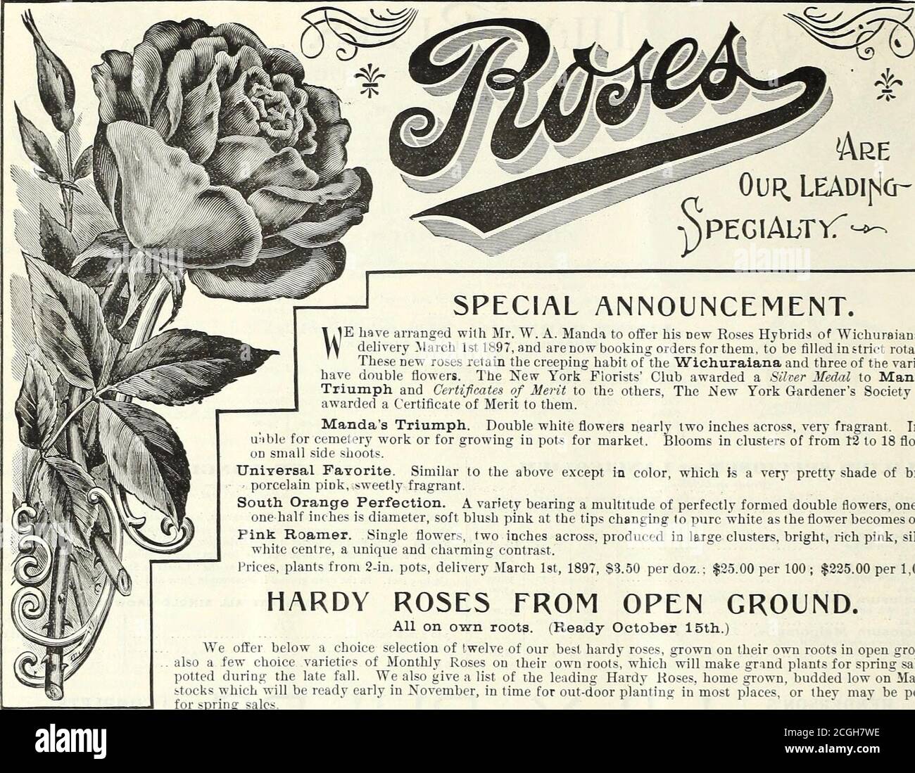 . Peter Henderson & Co.'s wholesale catalogue of bulbs, plants and flower seeds for autumn planting : 1896 . ful, scarlet Testaceum. (See Isabellianum.) Thunbergianum. (See Elegans.) Tigrinum. The well-known Tiger Lily Splendens. Orange red, spotted black, lar^e Flora Plena. Double flowers, orange, red spots. , Turban. (See Pomponicum ). Turks Cap. (See Superbum ) Umbellatum. tSee Elegans.) Wallacel. Orange, dotted maroon Wash i ngton lanu m. White, tinged lilac and purple.  ach. Doz. 100 • 25 $2.50 $18.OO •75 7.50 SS^oo .60 6.00 45.00 .20 2.00 H.oo •25 2.50 18 00 .20 1^75 12.00 .30 3.00 2O.0 Stock Photo