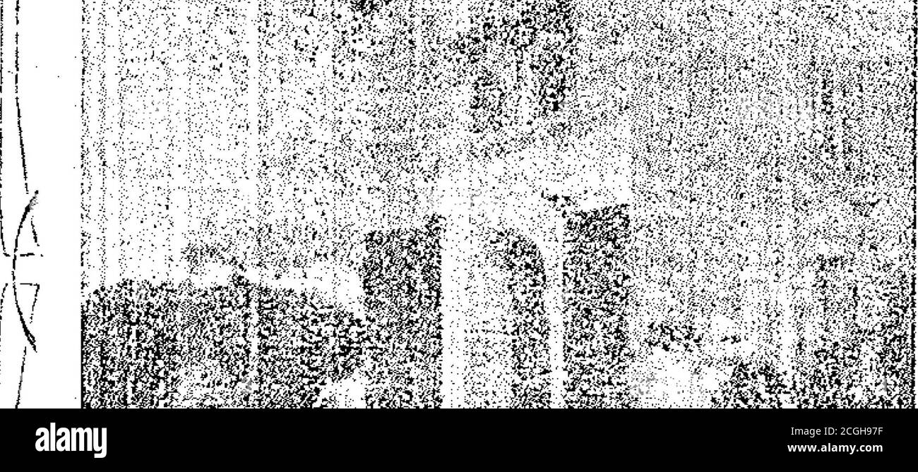 . Boletín Oficial de la República Argentina. 1912 1ra sección . ^Pík ^ ;■ ,;. ■ . -■ .-!. ■ ■.: .-.^ikr-c. ¿$ 7. -^X Agosto 12 de 1912.  F. López y Cíageneral, de la clase 15, (modificada). LA MEZQUITA Camisas de hilo y algodón env-27 noviembre. Acta No 3S.7n Noviembre 14 de 1912. pelase 16. - Bordas y Conté. — Calzados en general, de la j v-27 noviembre. I Acta No 38.700 ii^i^- í i^í!, ■ ilbÁ Stock Photo