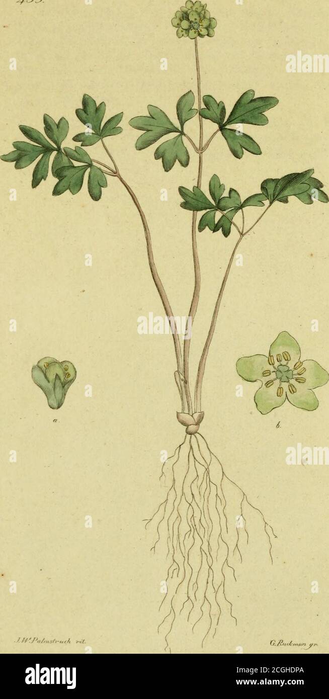 Trackter High Resolution Stock Photography And Images Alamy Trackter High Resolution Stock Photography And Images Alamy