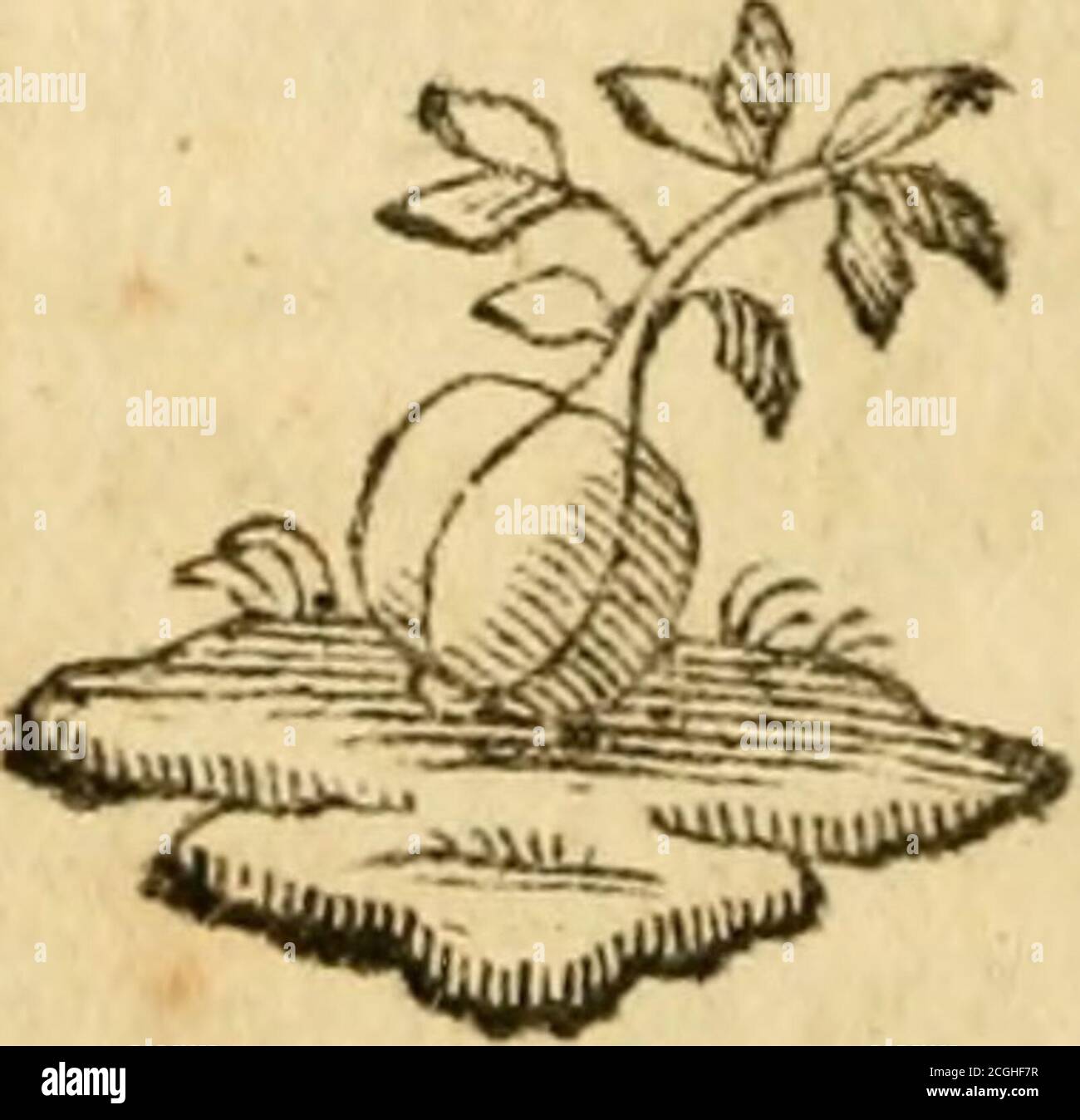 . Recueil historique ou choix de pieces morales, instructives et amusantes en François et en Allemand : pour l'usage des amateurs des deux langues. On y a joint histoire de la Pucelle D'Orleans... . ce. Le lendemain refclave fit dire fecrétementau Roi de fe cacher dans Fappartcment de fonMiniftre» Elle fit apporter une bride & unefelle. Voici îa pierre de touche de votreamour, dit-elle au Vilir, voyons jurquoù iracette complaifance tant vantée ; il faut quevous fafliez ufage de cette felle & de cettebride , & que vous fouffriez que je monte furvotre dos. Le foible Vifir, moitié répugnance, moi Stock Photo