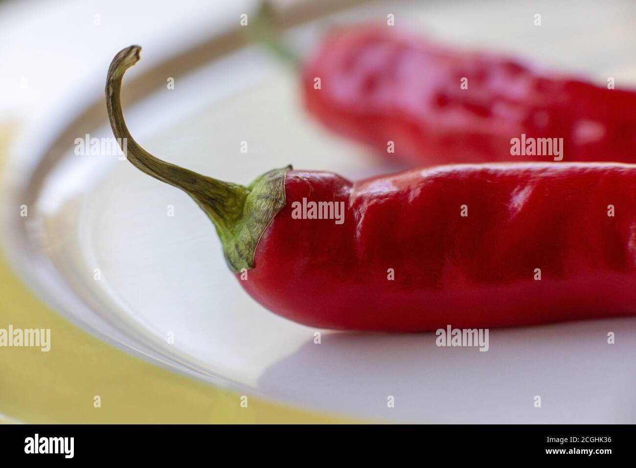 Sweet red bell peppers – capsicum annuum – drying on a plate in preparation for freezing. Stock Photo