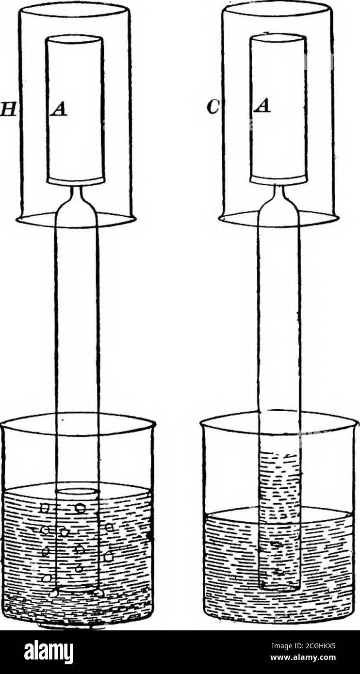 . Introduction to inorganic chemistry . t to note that there was atno time rest, there was simplyequal motion in both directions.When the hydrogen atmospheresurrounded the cylinder, the hy-drogen gas moved more rapidlyinto the cylinder than the air in-side could move out, and hence anexcess of pressure quickly arosein the interior. The cylinder on the right issimilar, but a vessel C filled withcarbon dioxide, a gas heavier thanair (density 1.63, air = 1), sur-rounds it. Here the air movesout faster than the gas can movein, a reduction in pressure takesplace, and the water rises.Exact measureme Stock Photo
