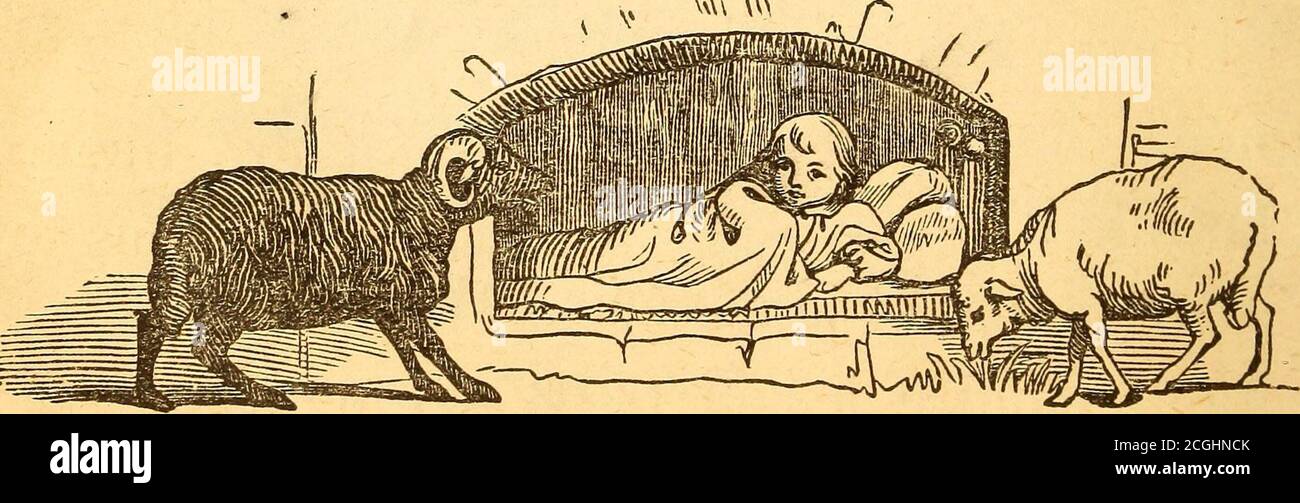 beginners la rencontre