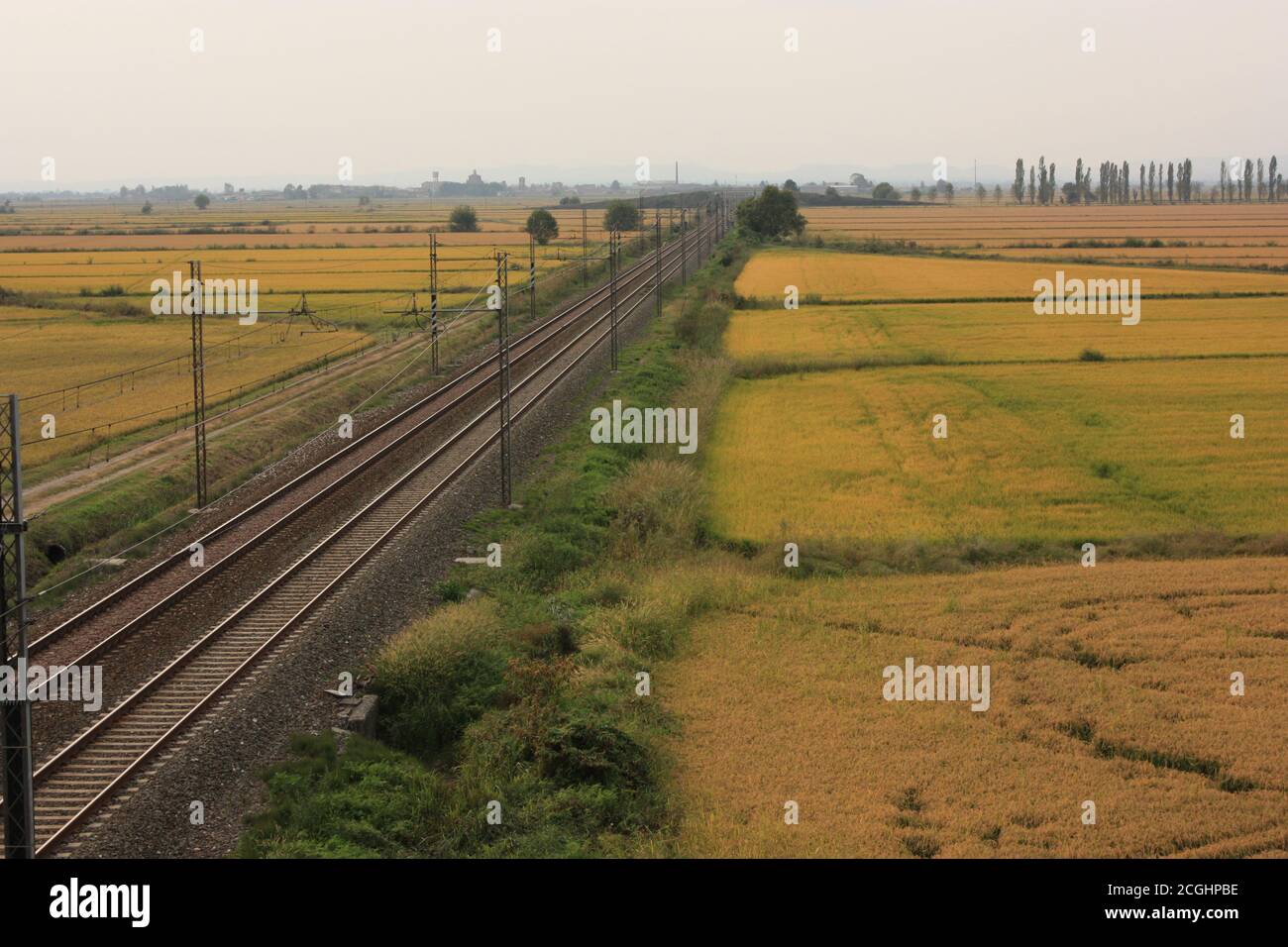 Rice paddy crossing hi-res stock photography and images - Alamy