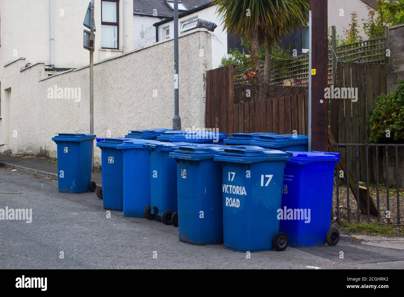 17 June 2020 A collection of Blue bins containing re-recyclable waste prepared for collection by the Northern Ireland Bangor Borough Council waste dispo Stock Photo