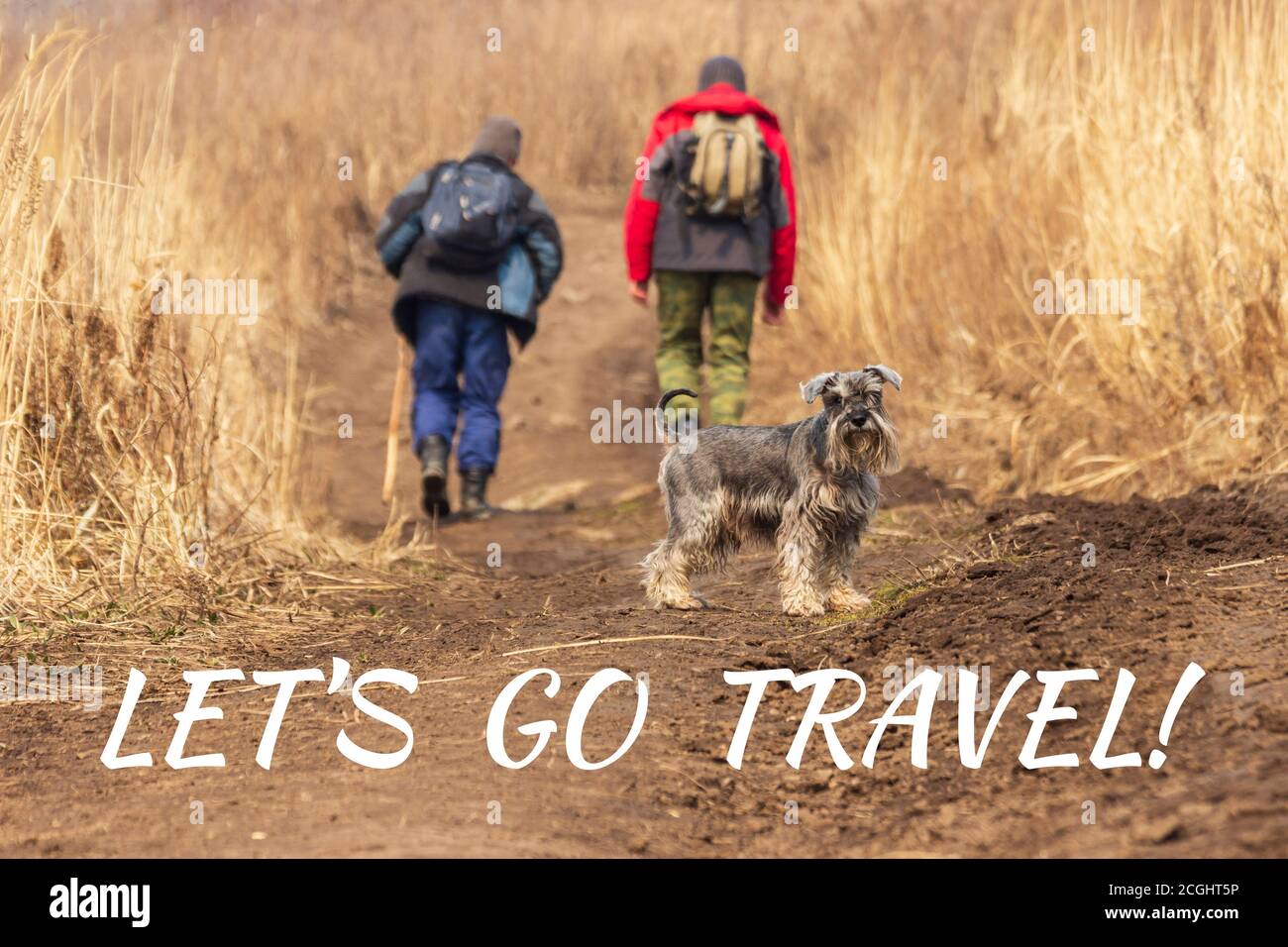 Let's Go Travel! Adventure traveling exploration journey concept. A dog and two tourists with backpacks are invited to go hiking. Stock Photo