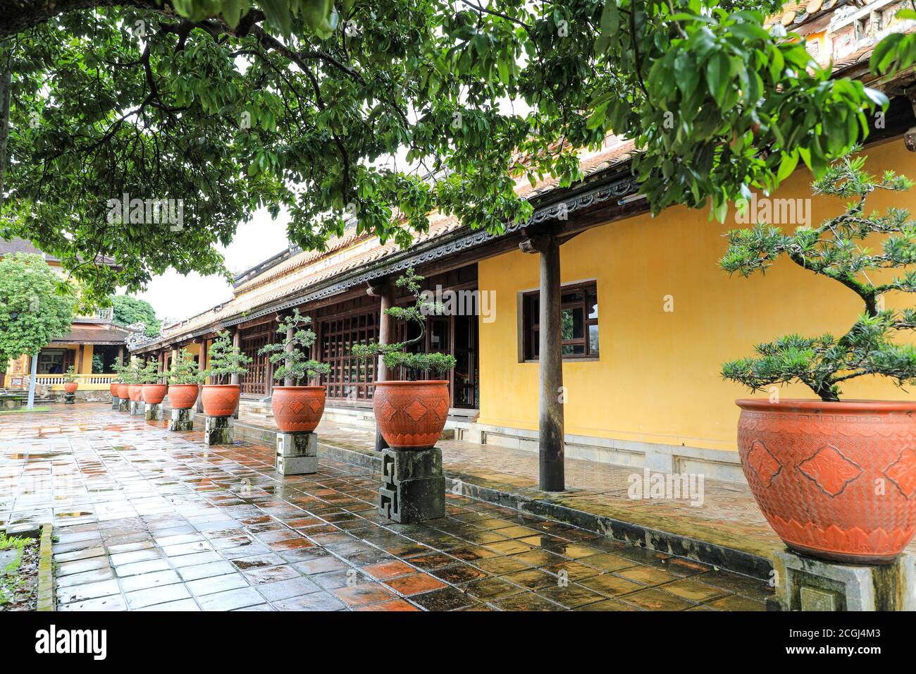 Bonsai trees in pots at The Imperial City, a walled enclosure within