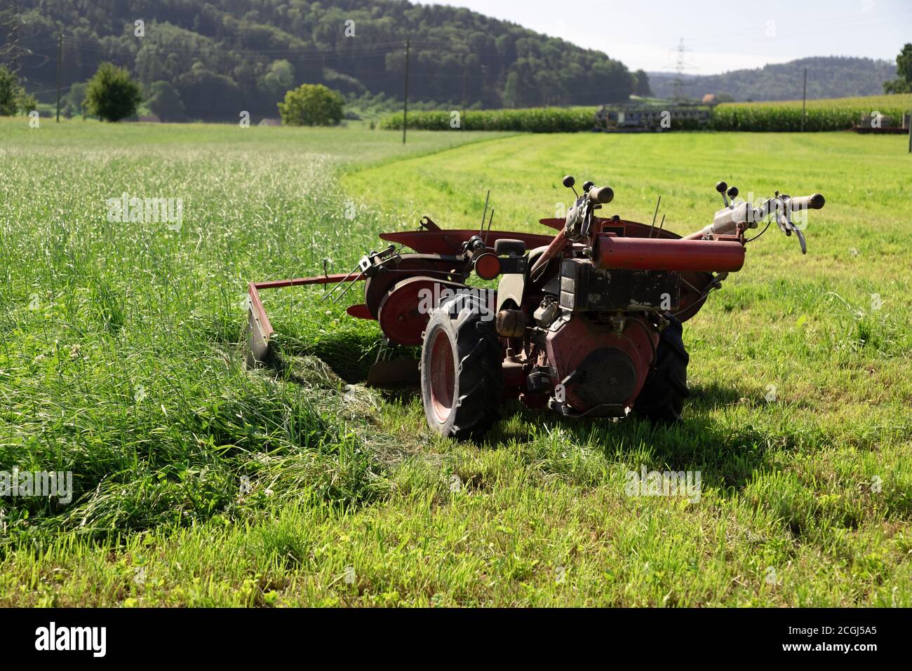 big red two hand lawn mower the farmer use to cut grass, machine stands without person on the field, half mowed, the other side is covered with uncut Stock Photo