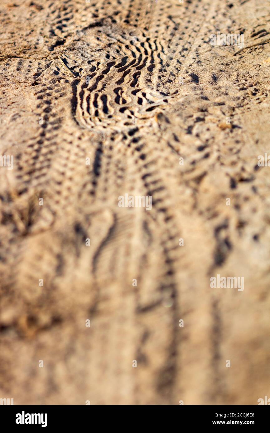 Bike tire marks in sand hires stock photography and images Alamy