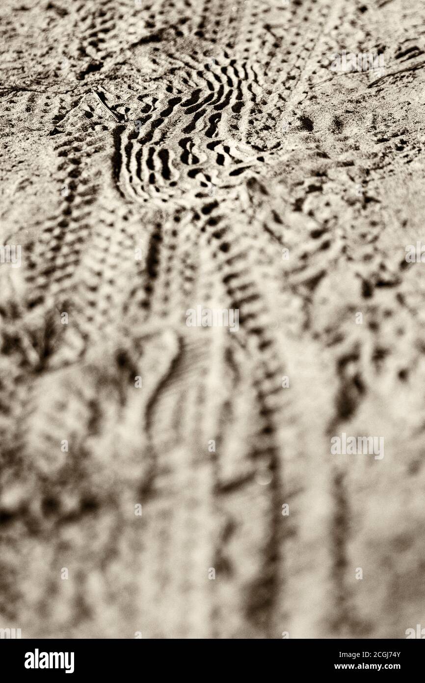 Bike tyre marks hires stock photography and images Alamy