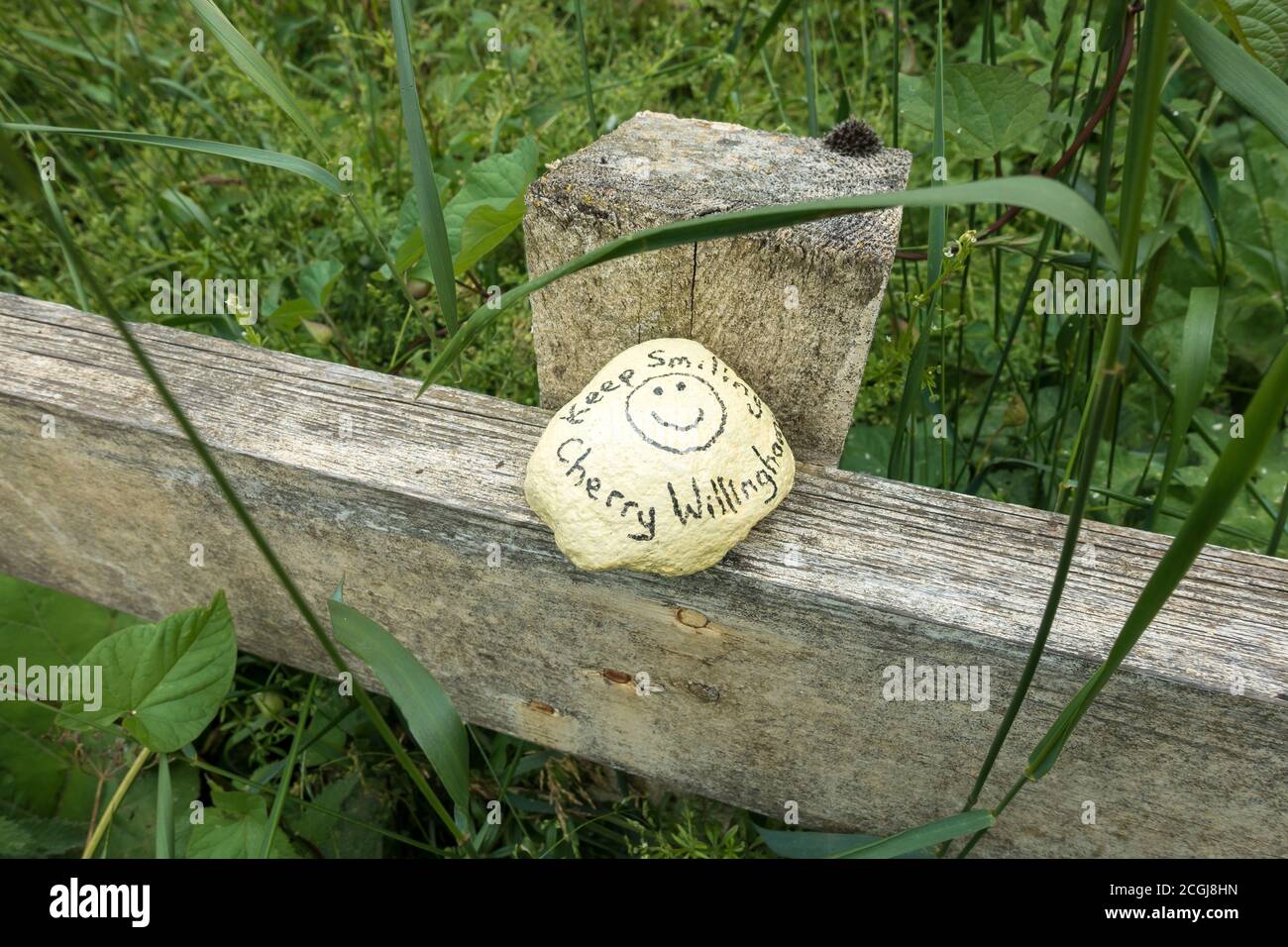 Happy stone on fence during pandemic Cherry Willingham June 2020 Stock Photo