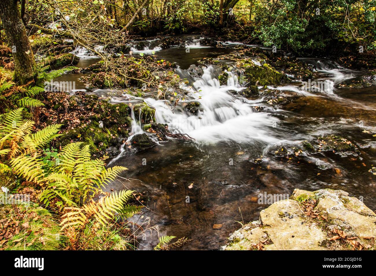 A small cascade in a stream in the Lake District near Coniston Water. Stock Photo