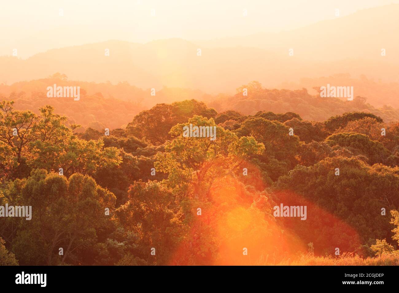Glowing sun rising over canopy of Himalayas forest and mountains in the background. Stock Photo