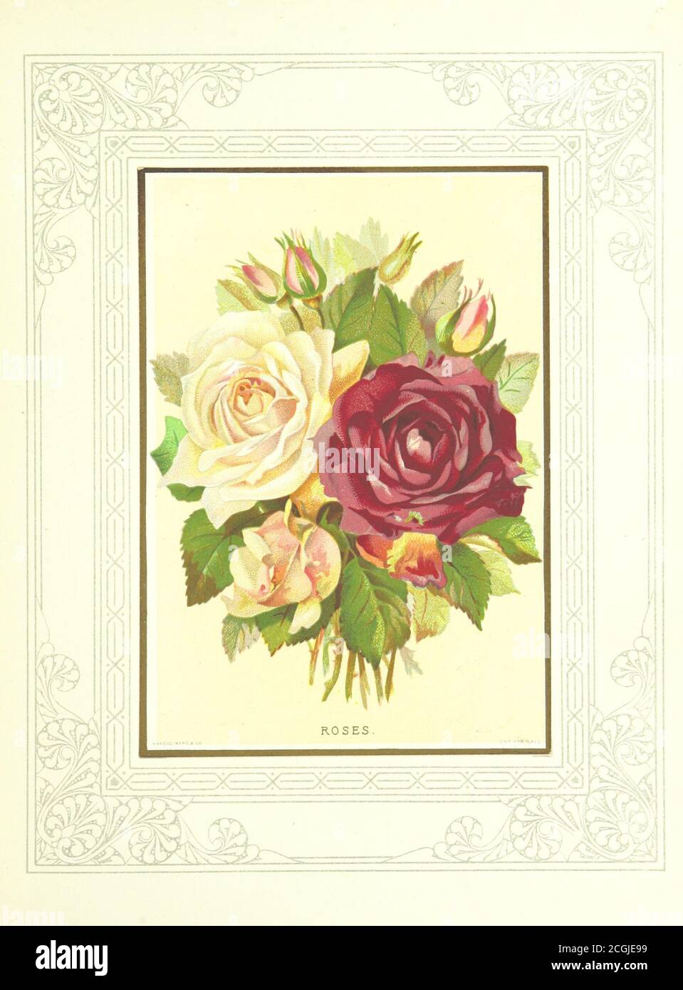 Jp 8 High Resolution Stock Photography And Images Alamy Jp 8 High Resolution Stock Photography And Images Alamy