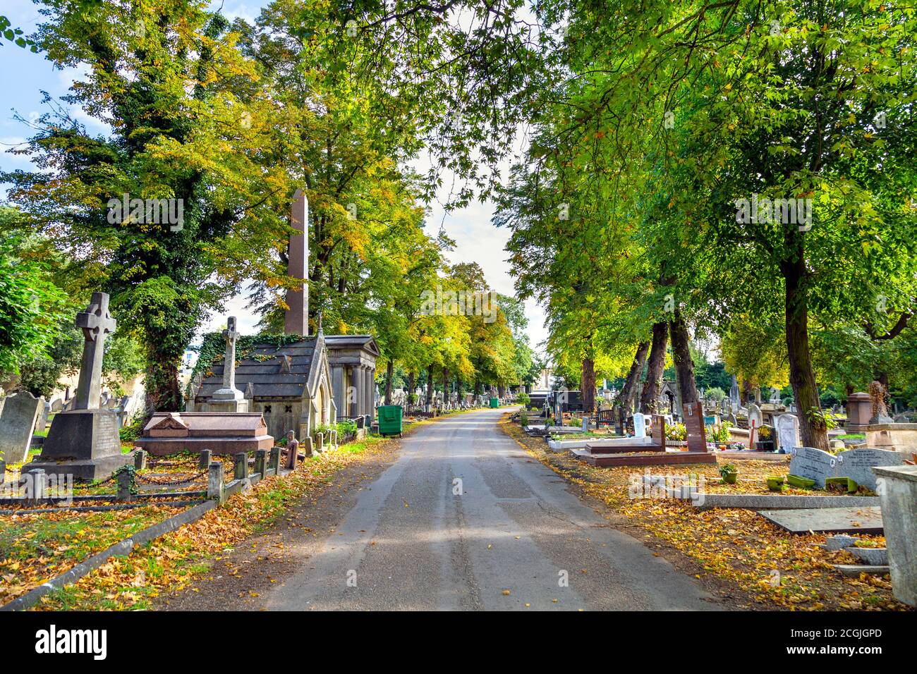 Alley at Kensal Green Cemetery in autumn, London, UK Stock Photo