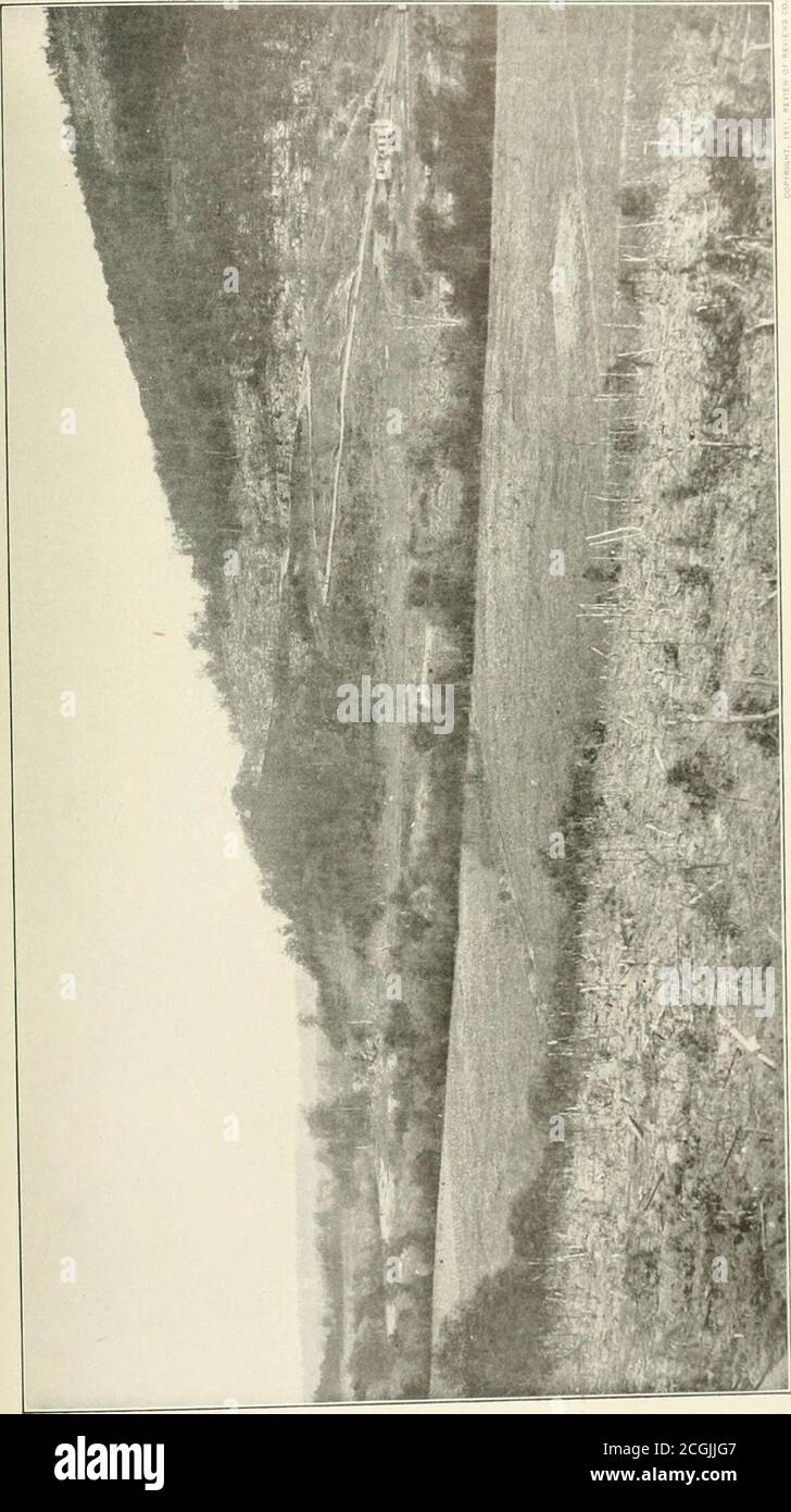 E Ao Oa I High Resolution Stock Photography And Images Alamy