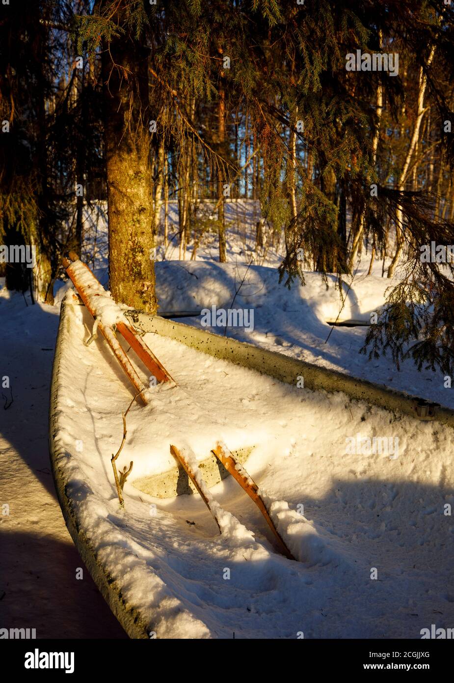 Pair of wooden oars and a rowing boat / skiff full of snow and ice at Winter , Finland Stock Photo