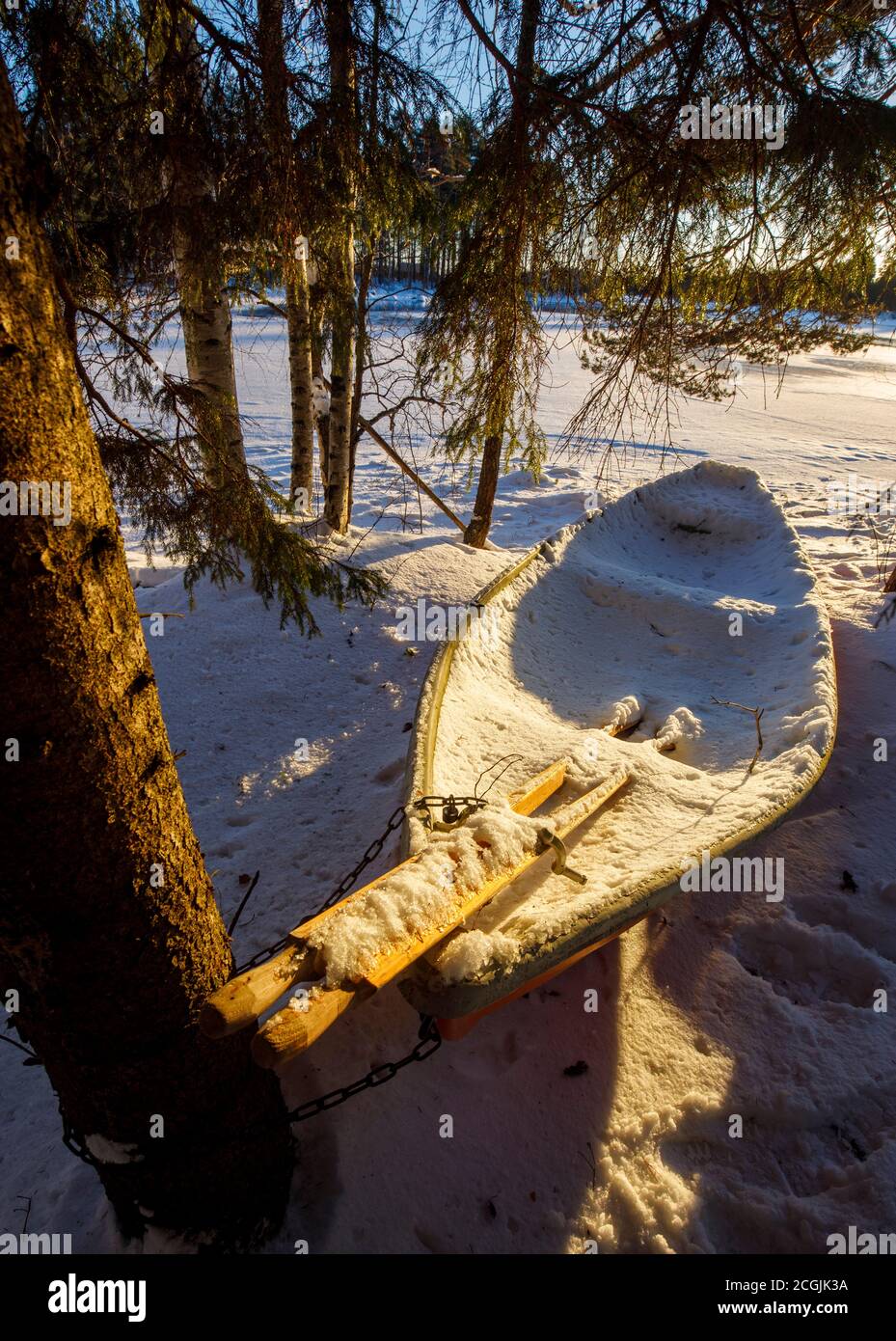 Pair of wooden oars and a rowboat / skiff full of snow and ice at Winter , Finland Stock Photo
