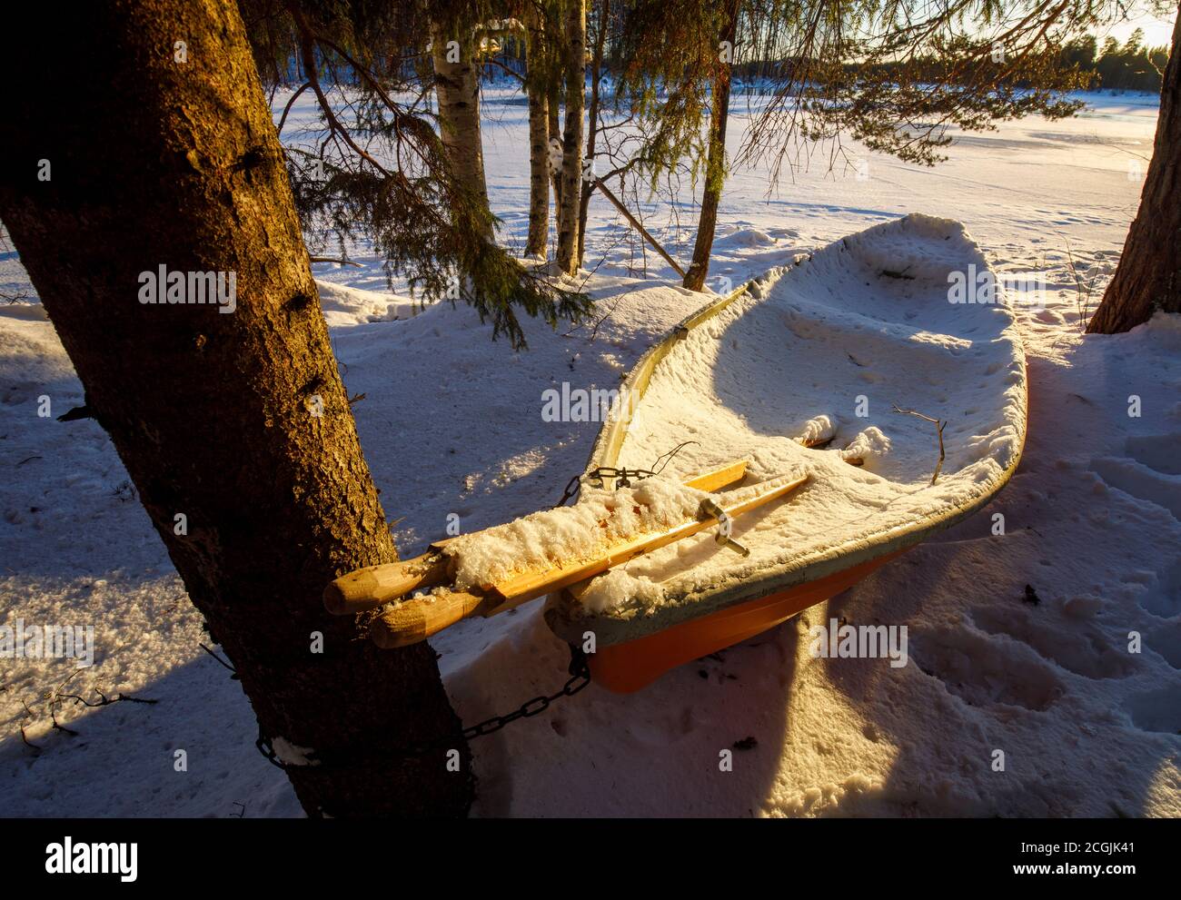 Pair of wooden oars and a rowboat / skiff full of snow and ice at Winter , Finland Stock Photo