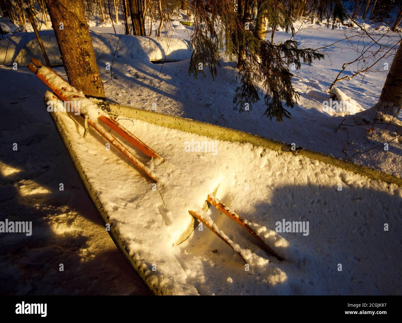 Pair of wooden oars and a rowing boat / skiff full of snow and ice at Winter , Finland Stock Photo