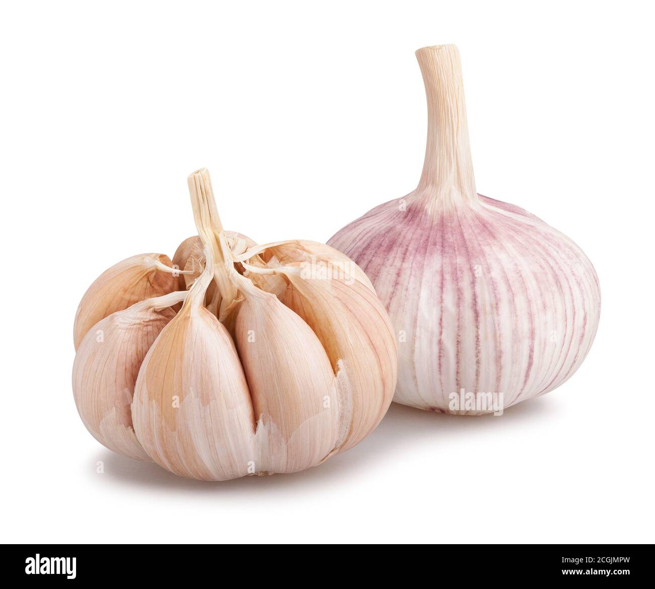 peeled garlic isolated on white background Stock Photo