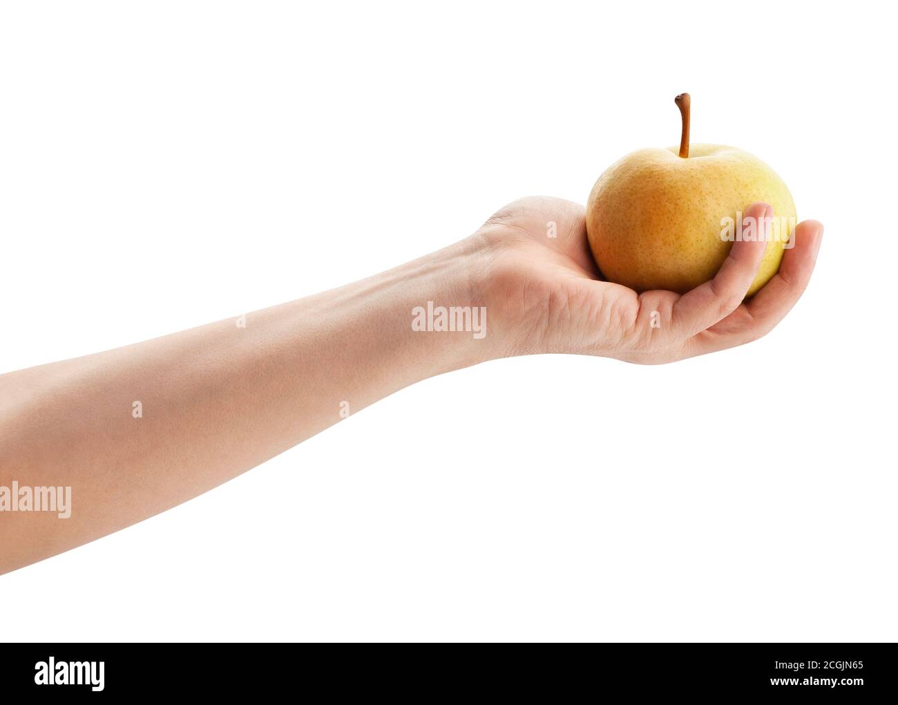 Asian pears nashi pear fruit hi-res stock photography and images - Alamy