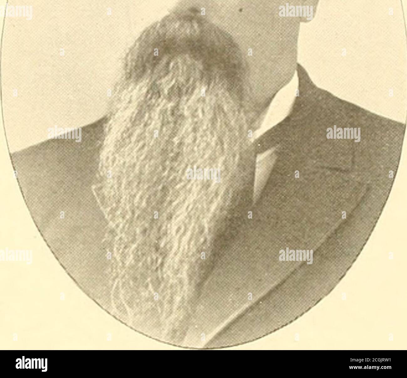 Abatis In Civil War High Resolution Stock Photography and Images - Alamy