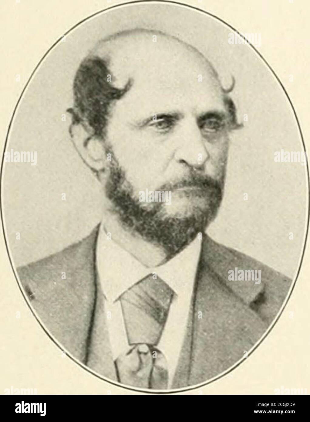 . The photographic history of the civil war Stock Photo Alamy