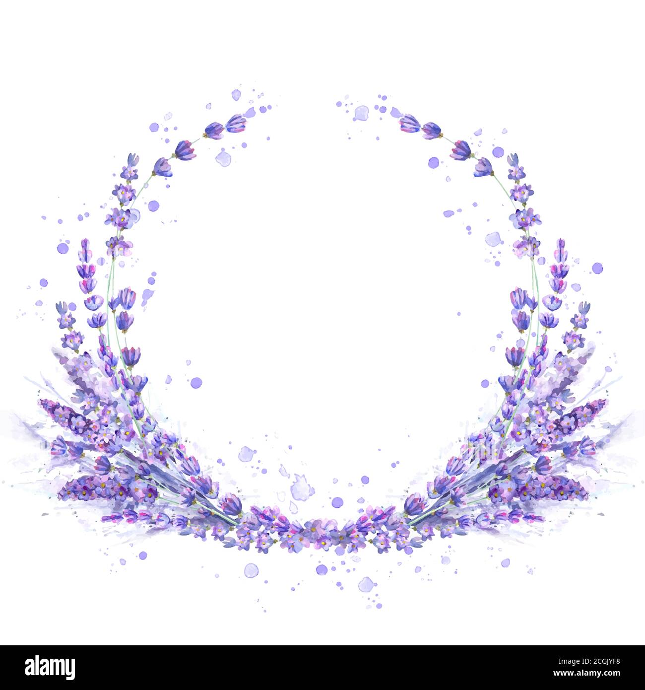 Lavender flowers purple watercolor round frame isolated on white background.  Watercolour hand drawn floral circle illustration. Design element for inv  Stock Vector Image & Art - Alamy