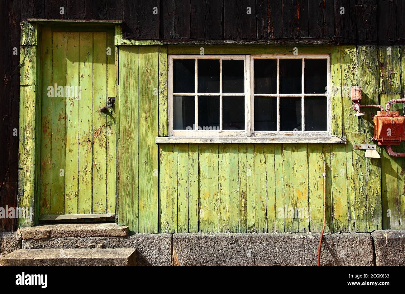 Lime green and chartreuse old peeling worn paint on clapboard wood ...