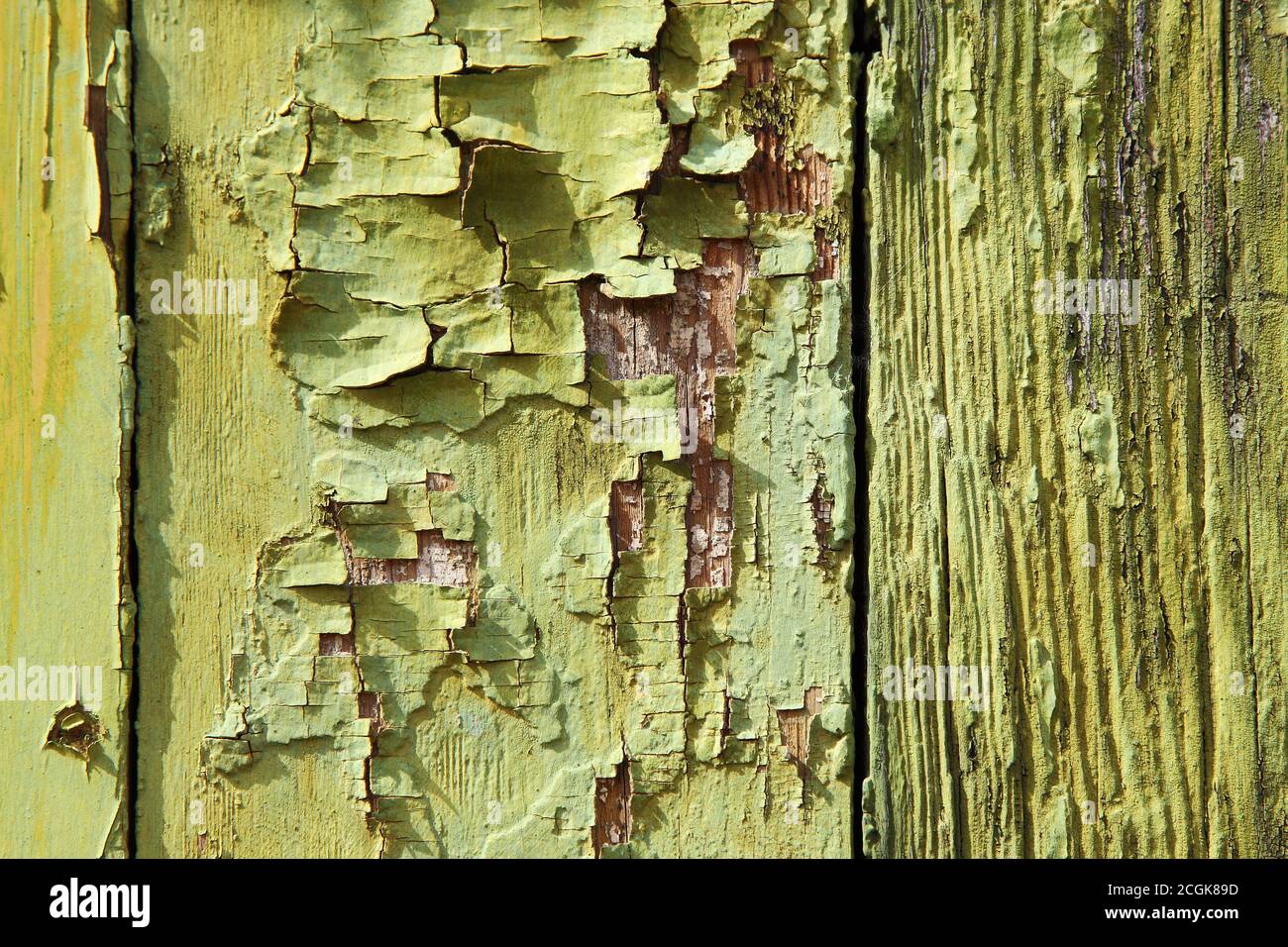 Lime green and chartreuse old peeling worn paint on clapboard wood cladding. Texture textured background. Stock Photo